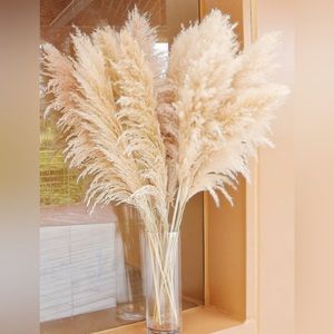 Pampas Natural Dry Grass